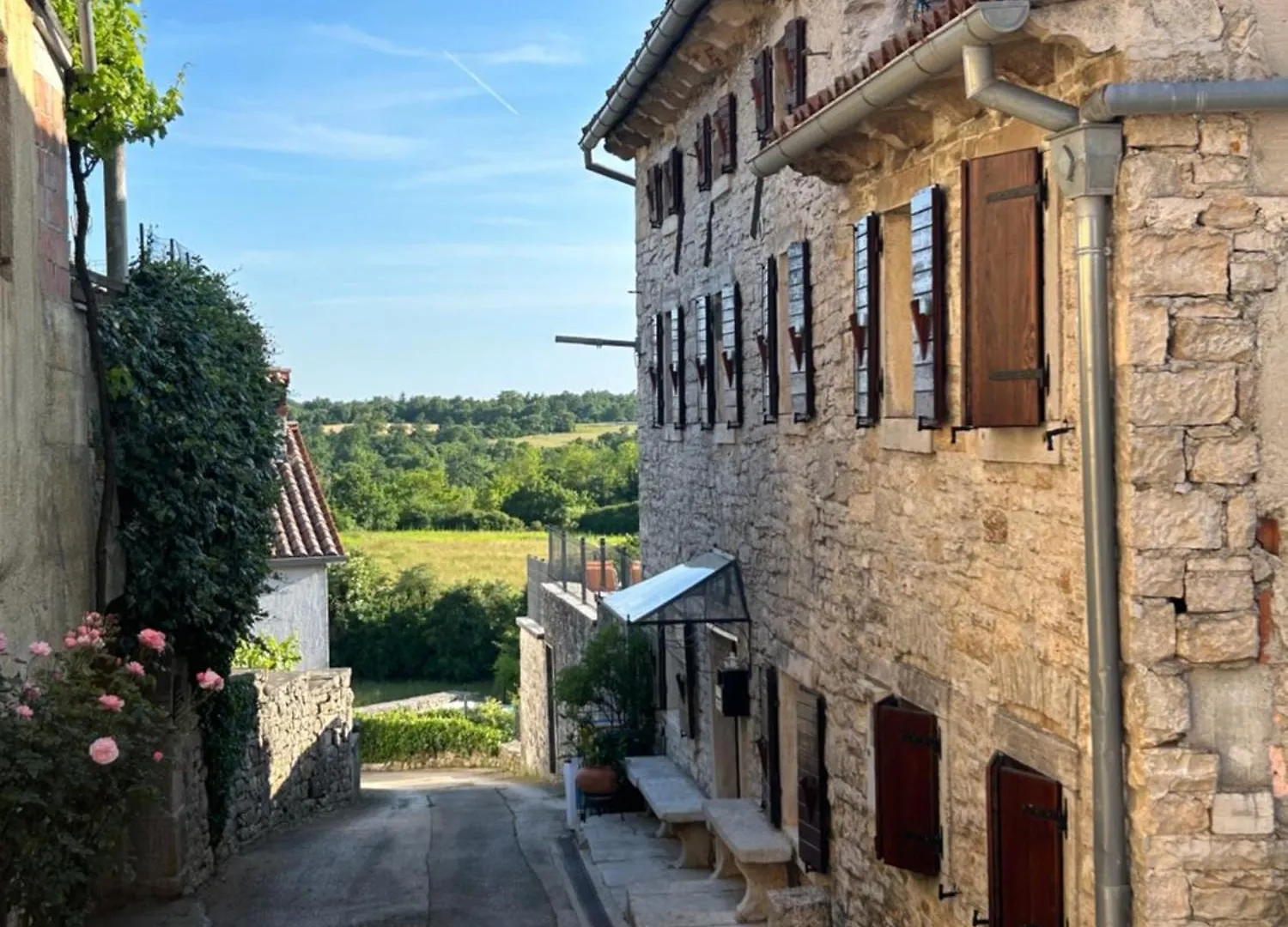 Aneta Authentic Istrian House With Pool & Garden - Pet Friendly Villa Žminj 0*,